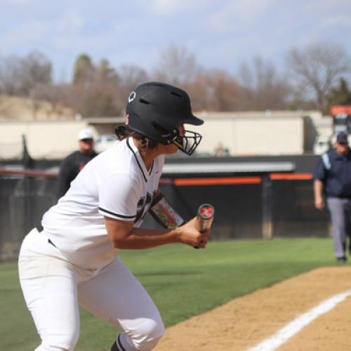 Softball vs Northwestern