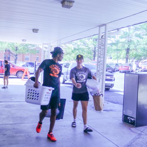 Move In