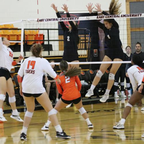 VB vs Harding 9.29.22