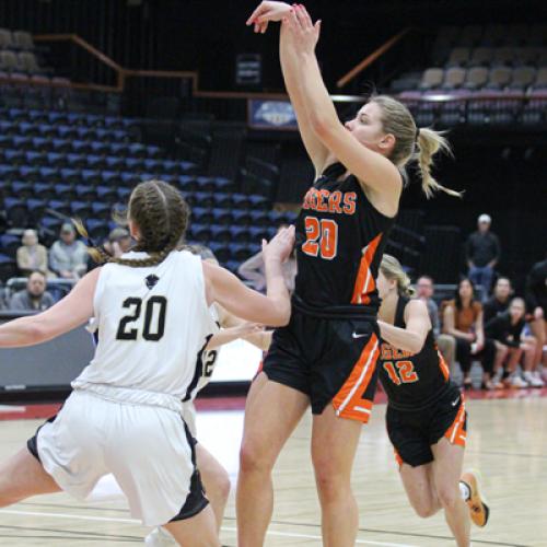 WBB vs Harding (GAC Tournament)