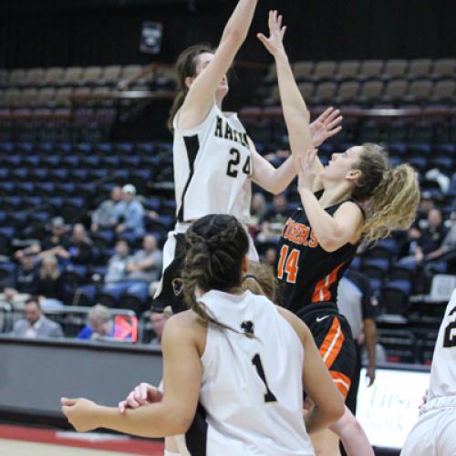 WBB vs Harding (GAC Tournament)