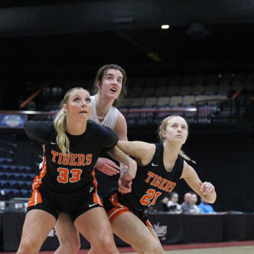 WBB vs Harding (GAC Tournament)