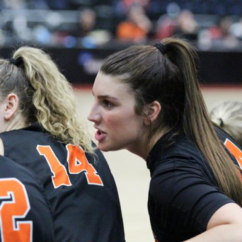 WBB vs Harding (GAC Tournament)