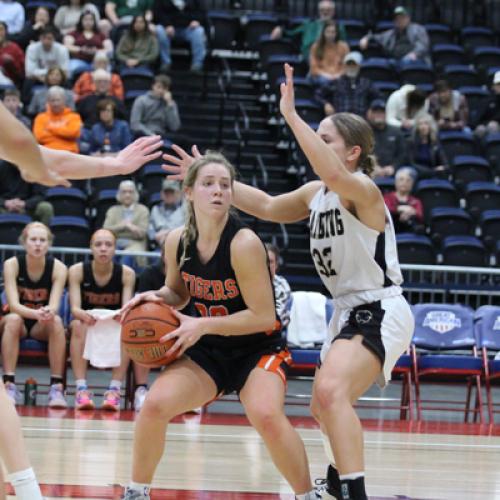 WBB vs Harding (GAC Tournament)