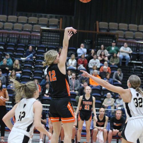 WBB vs Harding (GAC Tournament)