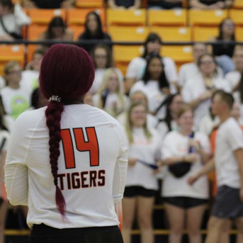 Volleyball VS. Langston