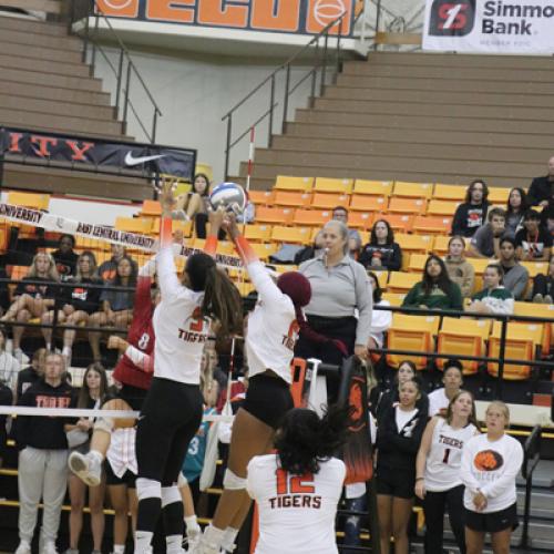 Volleyball VS. SNU