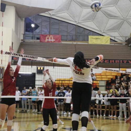 Volleyball VS. SNU