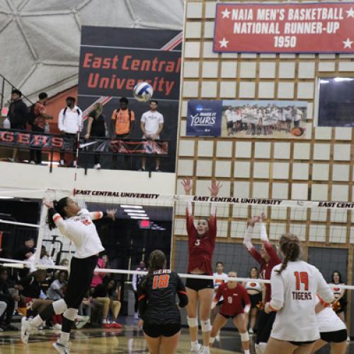 Volleyball VS. SNU