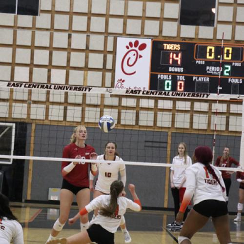 Volleyball VS. SNU