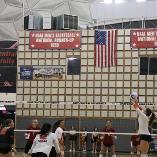 Volleyball VS. SNU