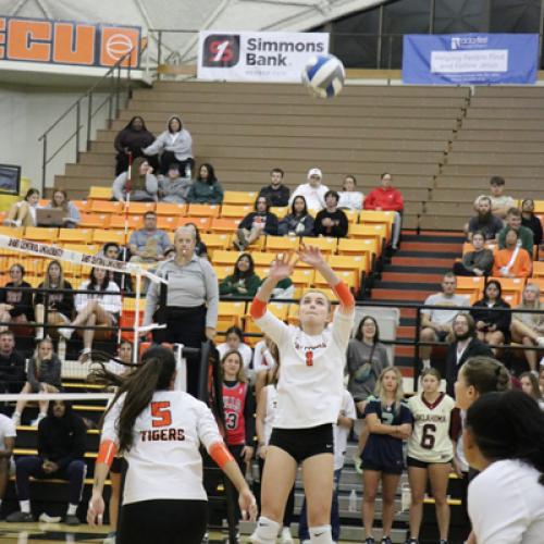 Volleyball VS. SNU