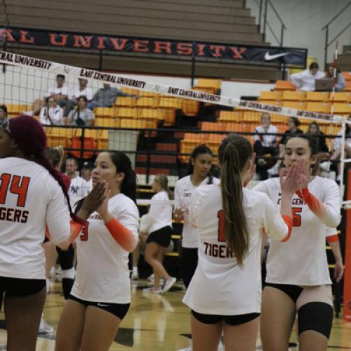 Volleyball VS. SNU