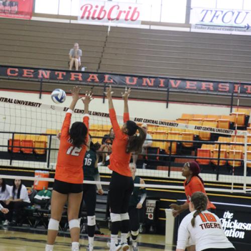 Volleyball vs USAO 