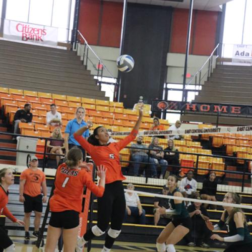 Volleyball vs USAO 