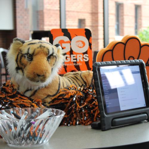 Tiger Enrollment Day 04.21.24