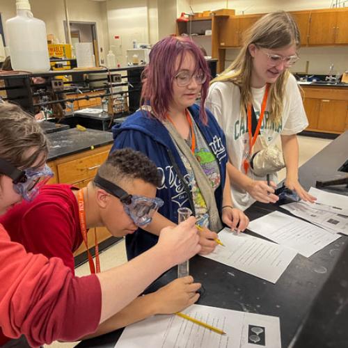 STEM Camp - Molecules of Nature
