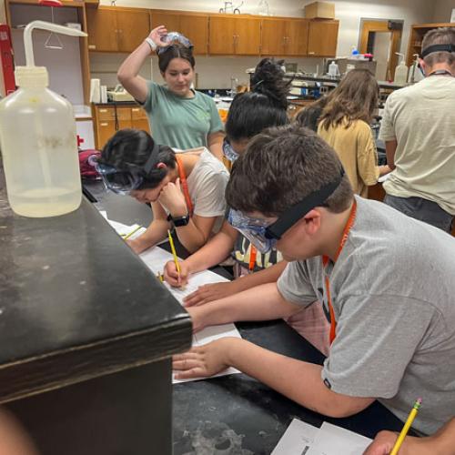 STEM Camp - Molecules of Nature
