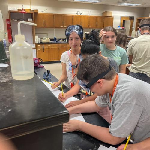 STEM Camp - Molecules of Nature