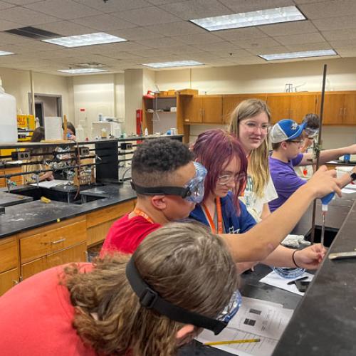 STEM Camp - Molecules of Nature