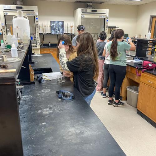 STEM Camp - Molecules of Nature
