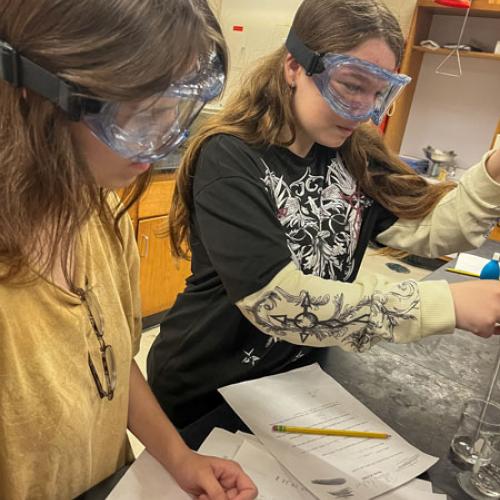 STEM Camp - Molecules of Nature