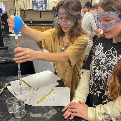 STEM Camp - Molecules of Nature