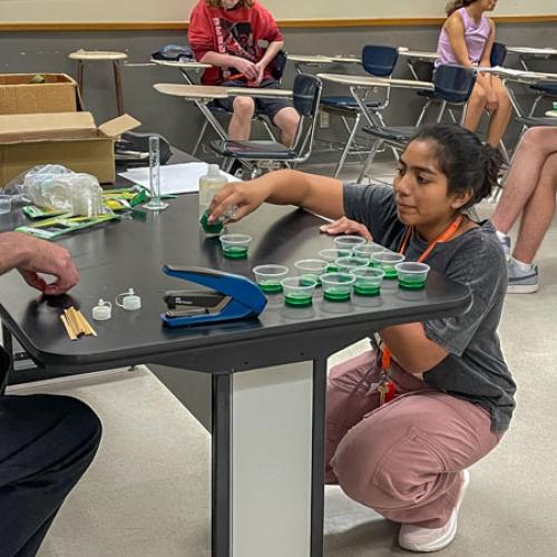 STEM Camp - Molecules of Nature