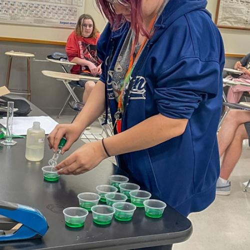 STEM Camp - Molecules of Nature