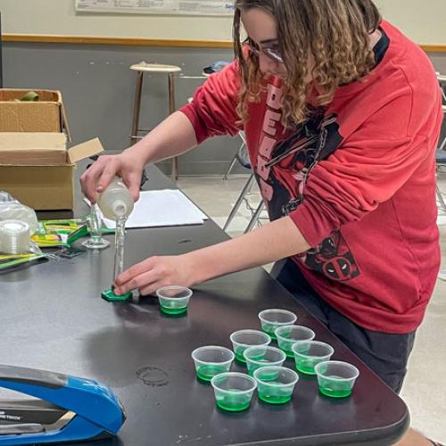 STEM Camp - Molecules of Nature