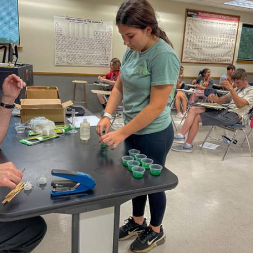 STEM Camp - Molecules of Nature