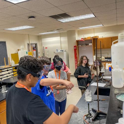 STEM Camp - Molecules of Nature