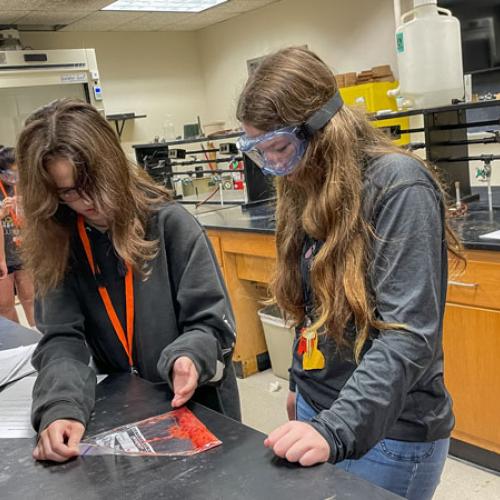 STEM Camp - Molecules of Nature