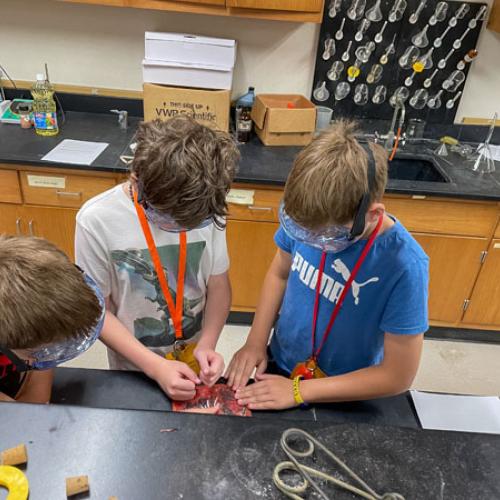 STEM Camp - Molecules of Nature
