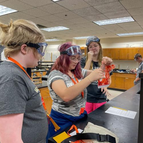 STEM Camp - Molecules of Nature