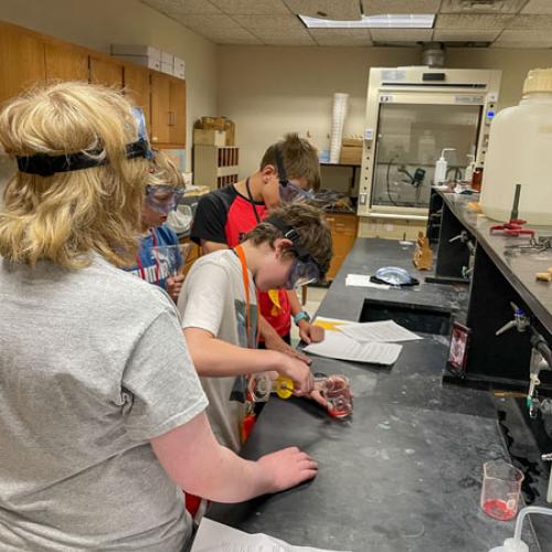 STEM Camp - Molecules of Nature
