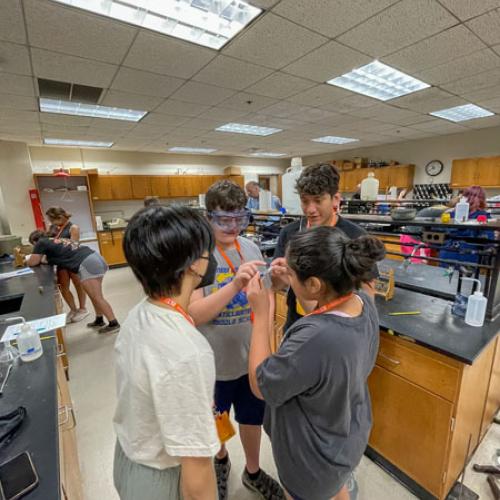 STEM Camp - Molecules of Nature