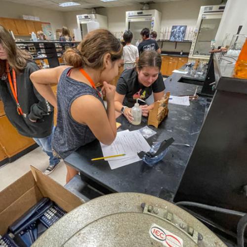 STEM Camp - Molecules of Nature