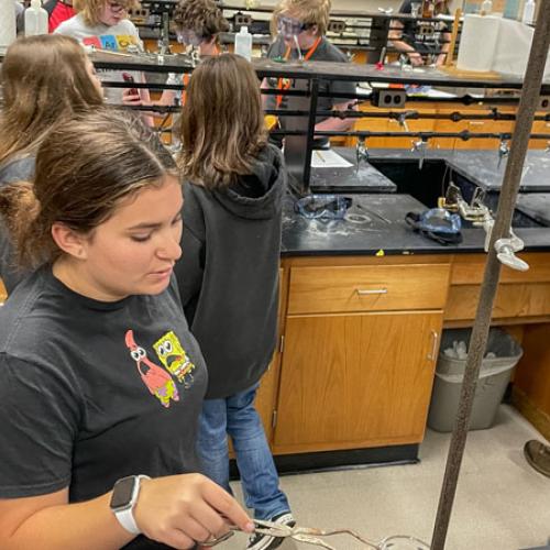 STEM Camp - Molecules of Nature