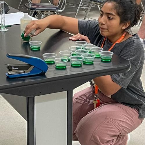 STEM Camp - Molecules of Nature
