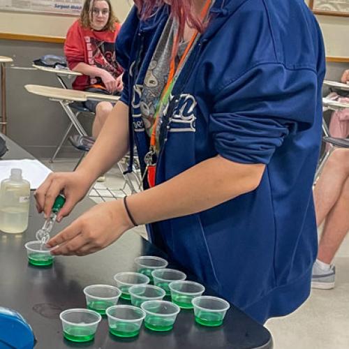 STEM Camp - Molecules of Nature