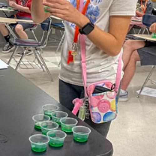 STEM Camp - Molecules of Nature
