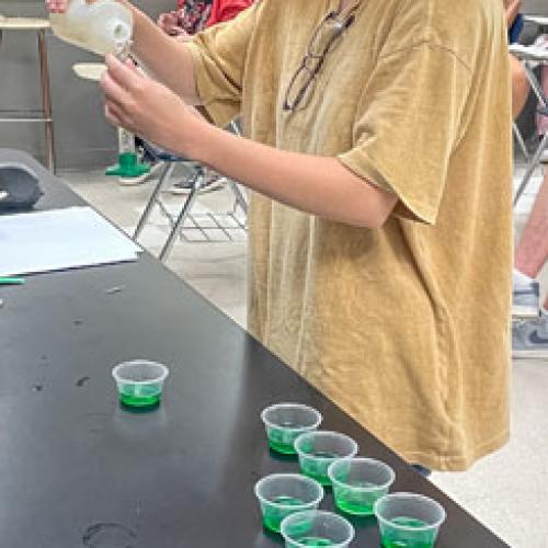 STEM Camp - Molecules of Nature