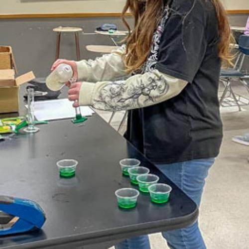 STEM Camp - Molecules of Nature
