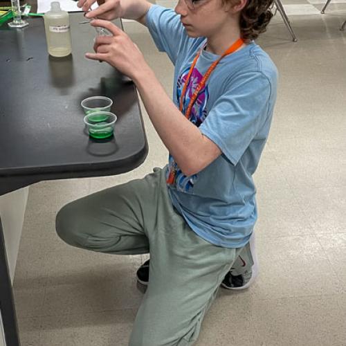 STEM Camp - Molecules of Nature
