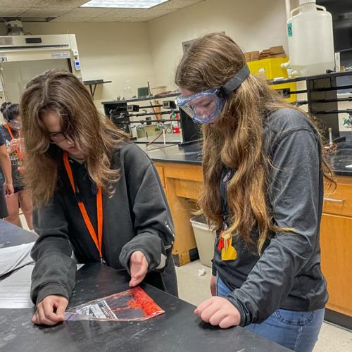 STEM Camp - Molecules of Nature