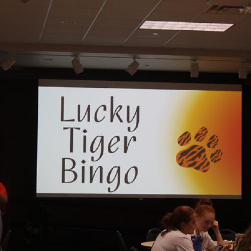 Lucky Tiger Bingo