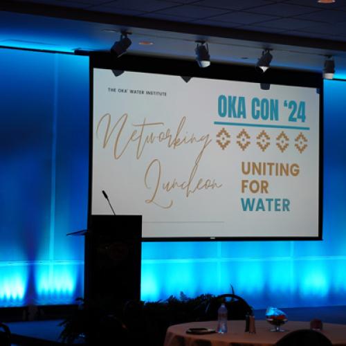 Oka Con '24