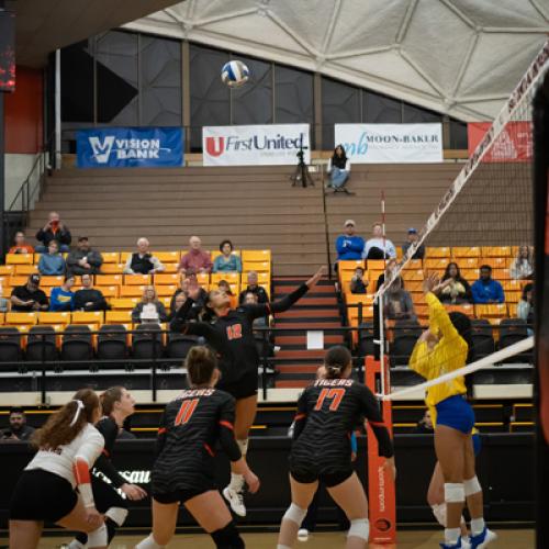 Volleyball vs SE