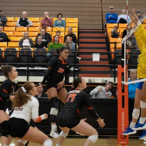 Volleyball vs SE
